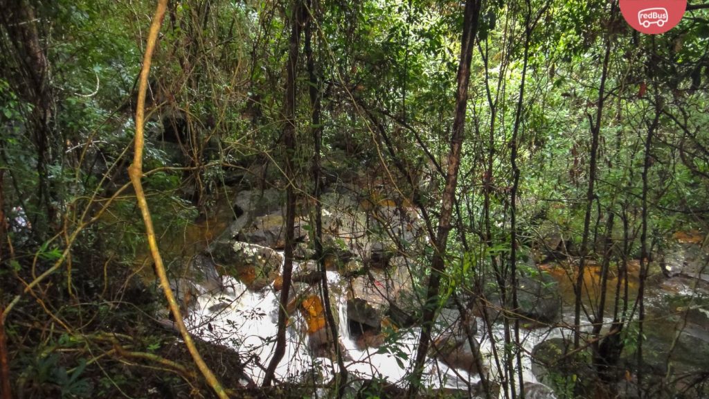 hiking-trails-phu-quoc-national-park