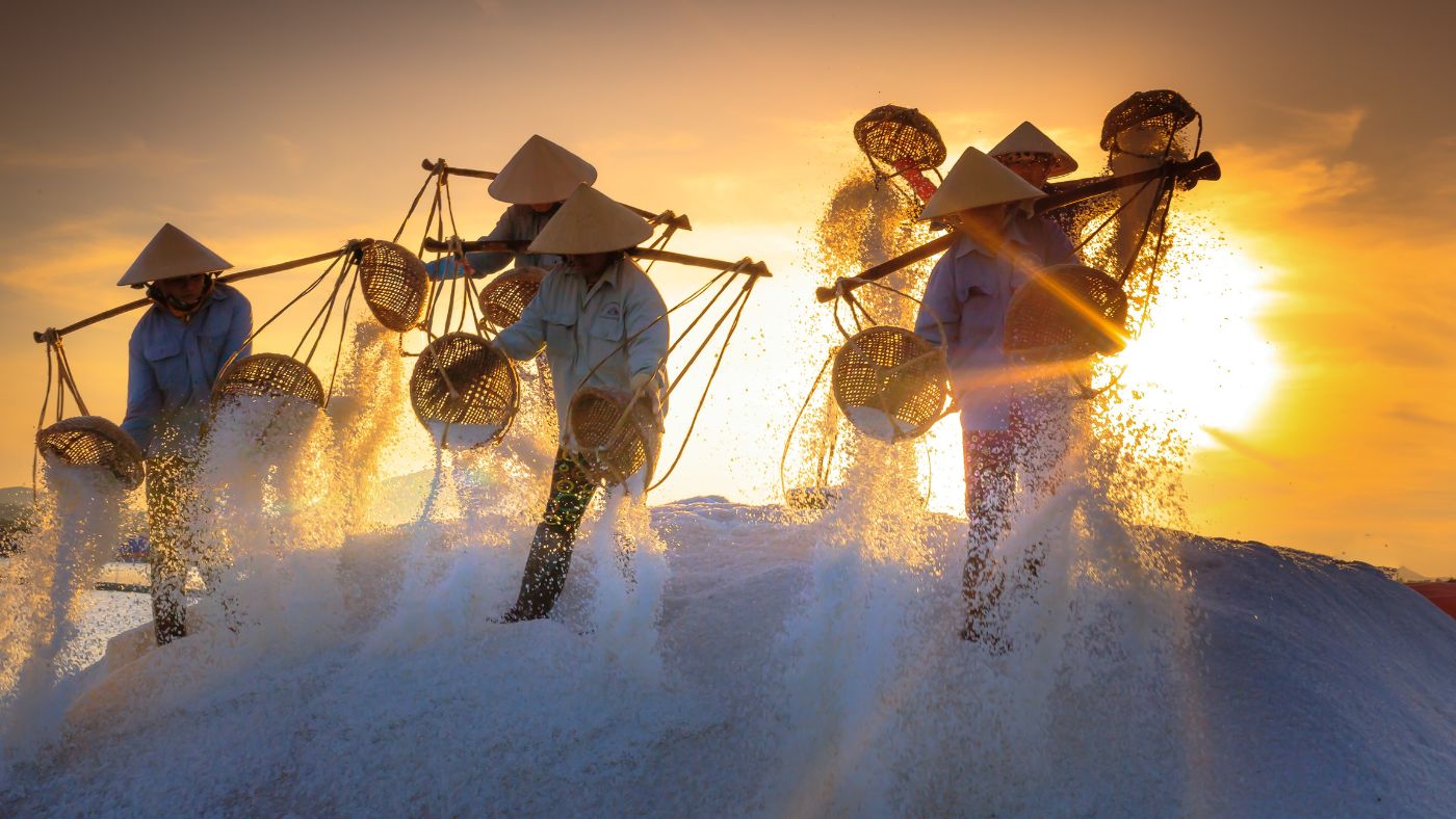 Tỉnh Bạc Liêu đăng cai Lễ hội ngành muối Việt Nam lần thứ nhất vào tháng 12 năm 2024