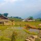 hanoi to sapa